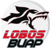 Lobos BUAP